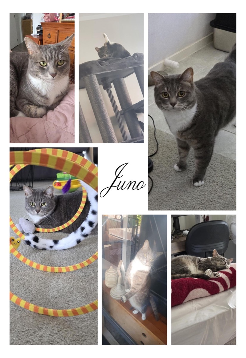 Canvas design example – Family Portrait